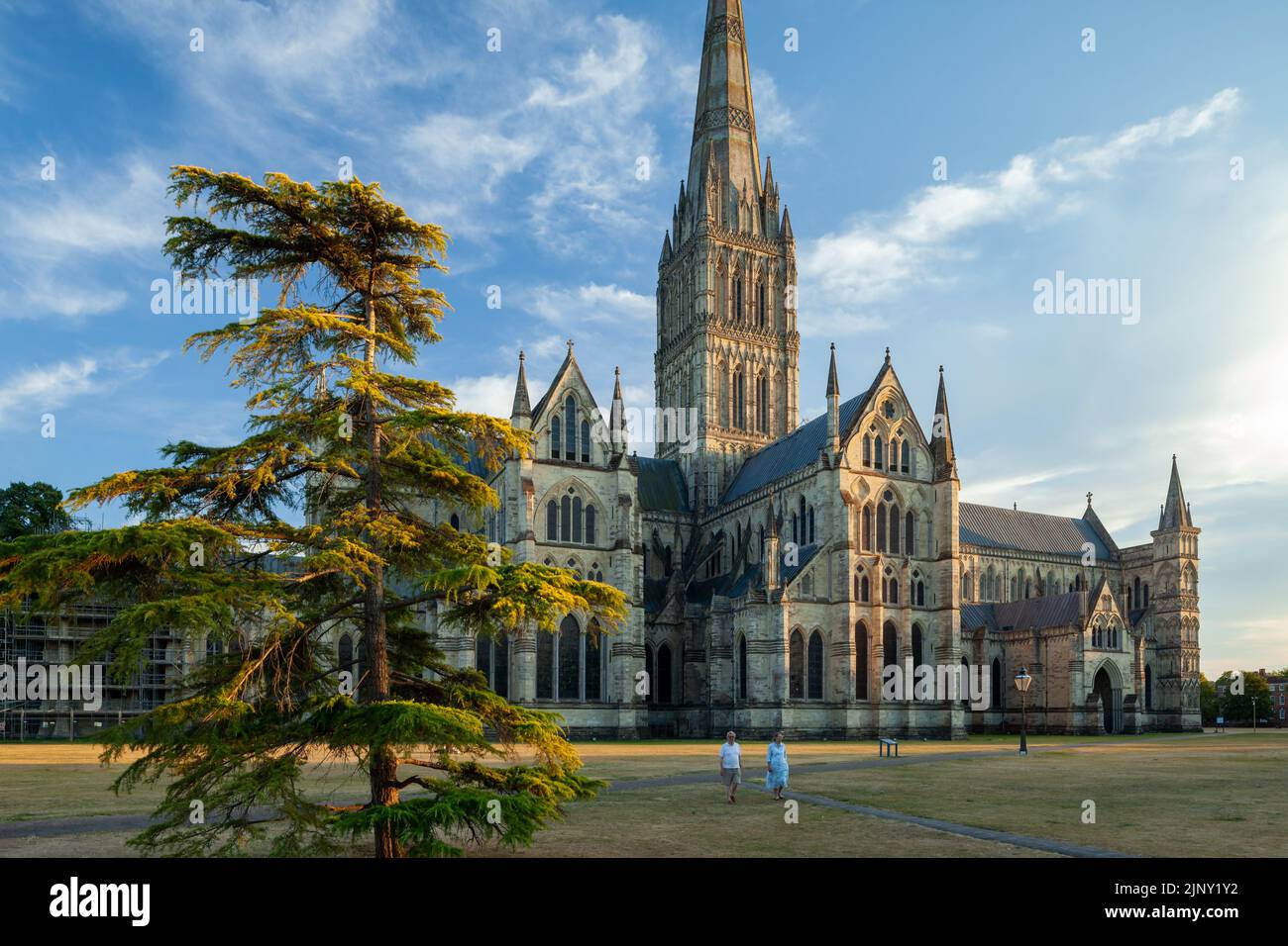 Sonnenuntergang im Sommer in der Kathedrale von Salisbury in Salisbury, Wiltshire. Stockfoto