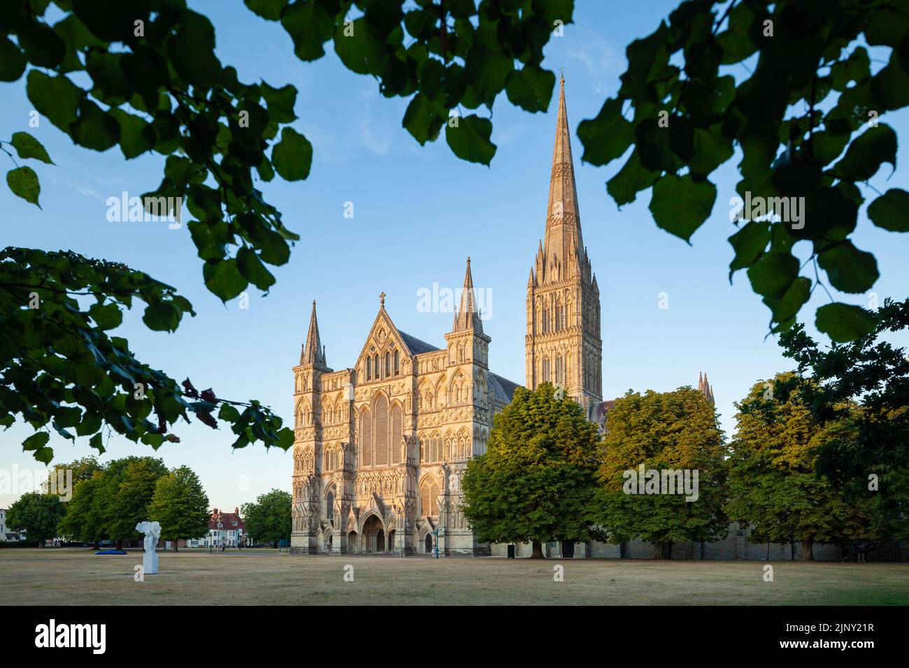 Sonnenuntergang im Sommer in der Salisbury Cathedral, Salisbury, Wiltshire, England. Stockfoto