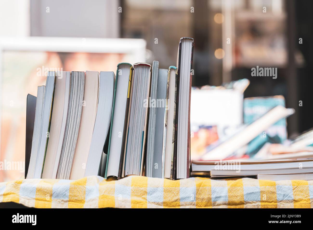 Gebrauchte Bücher werden in Folge auf einem Buchmarkt in Dordrecht in den Niederlanden verkauft. Hollands Second-Hand-Literatur-Veranstaltung findet jährlich in statt Stockfoto