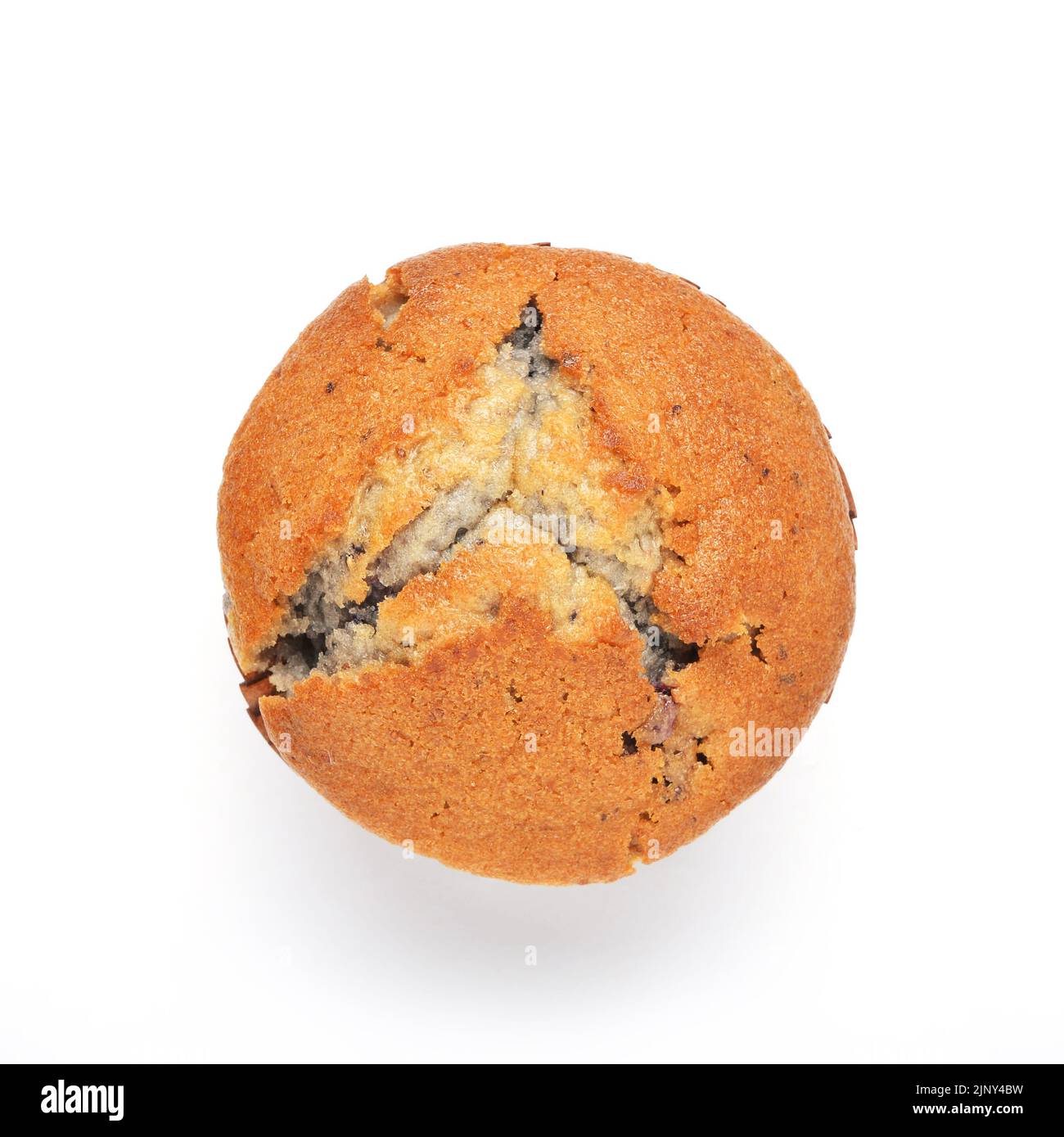 Single Blueberry Muffin Schuß von oben auf weißem Hintergrund Stockfoto