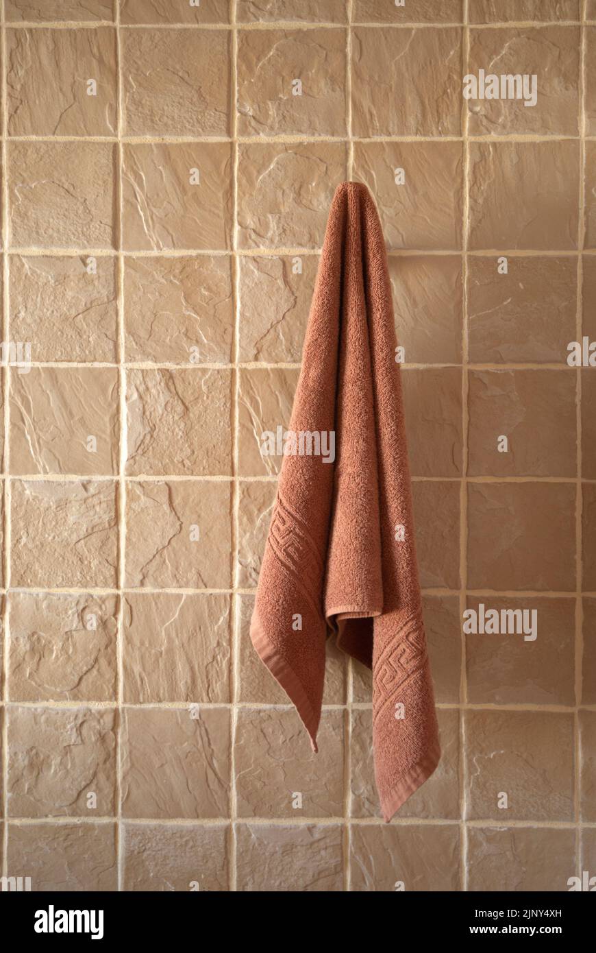 Ein einziges Badetuch hing an einer gefliesten Wand Stockfoto