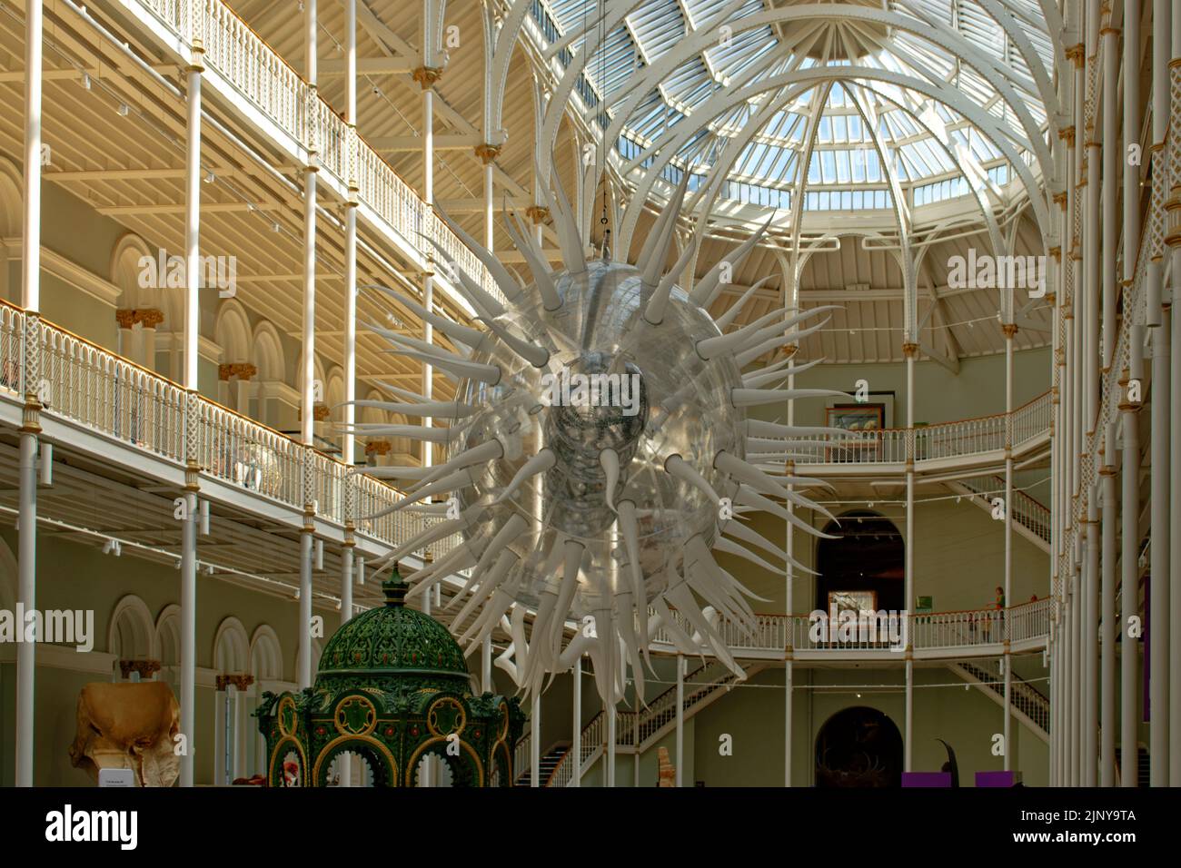 EDINBURGH CITY NATIONAL MUSEUM OF SCOTLAND RIESIGE NACHBILDUNG EINES E COLI-BAKTERIEN Stockfoto