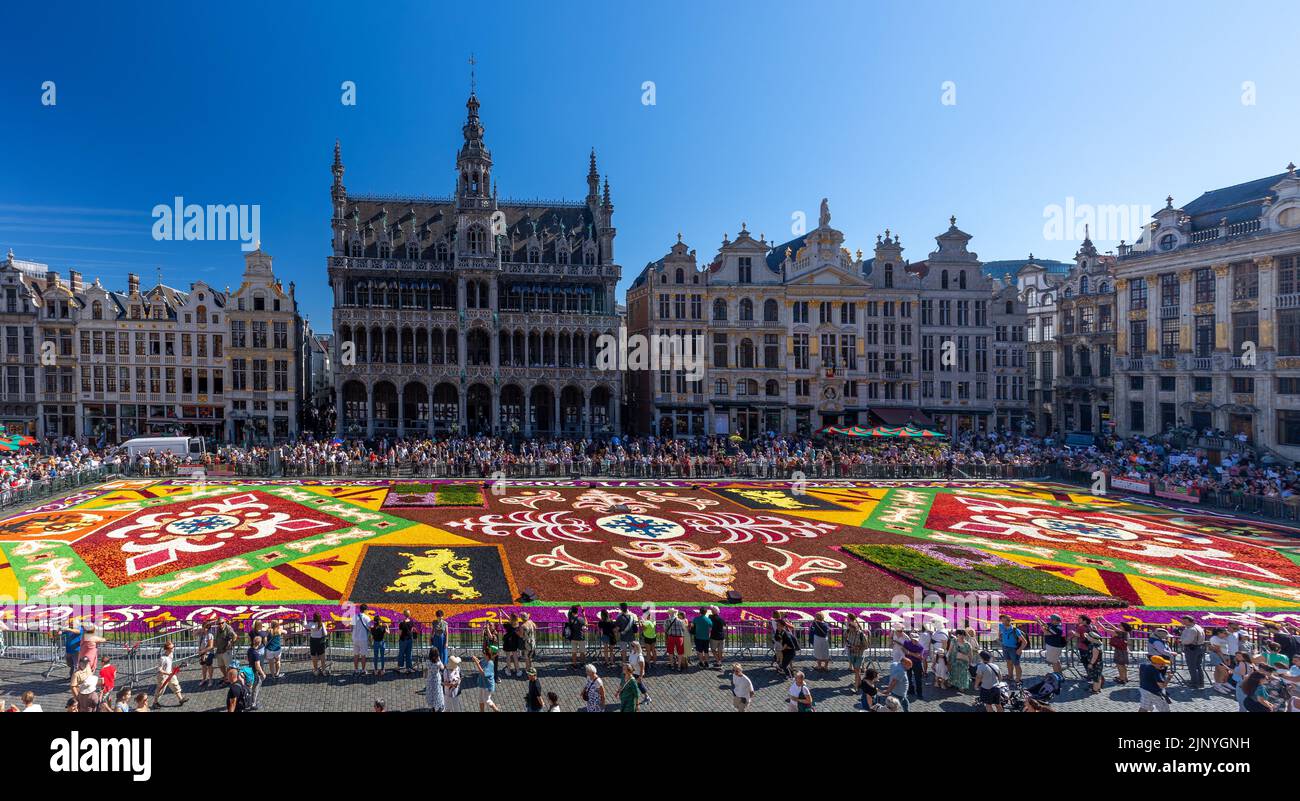 Blumenteppich 2022 Ausgabe auf dem Grand-Place von Brüssel, Belgien Stockfoto