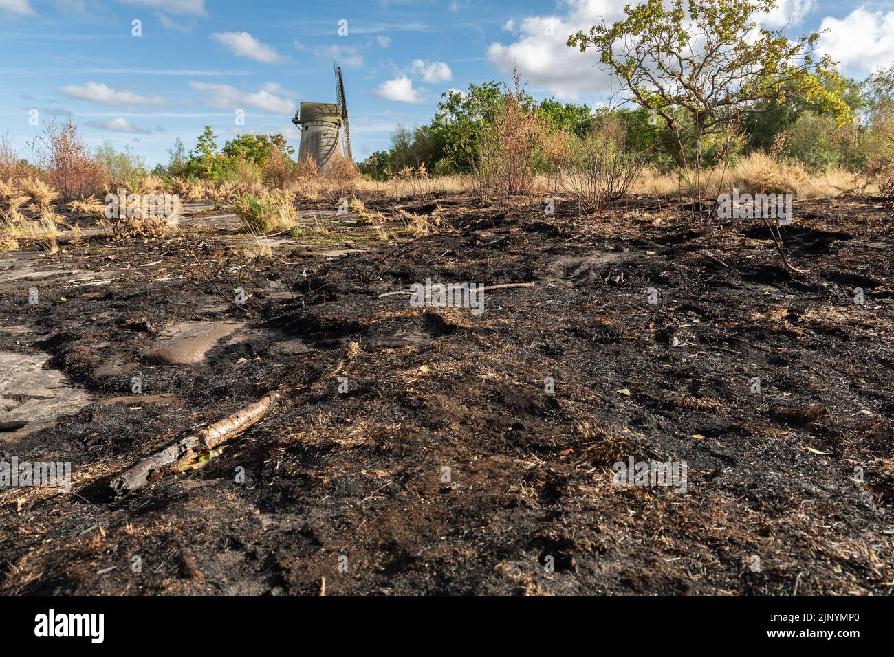 Wirral, Großbritannien: Verbrannte Erde und verbranntes Grasland nach Sommerbränden auf Bidston Hill. Stockfoto