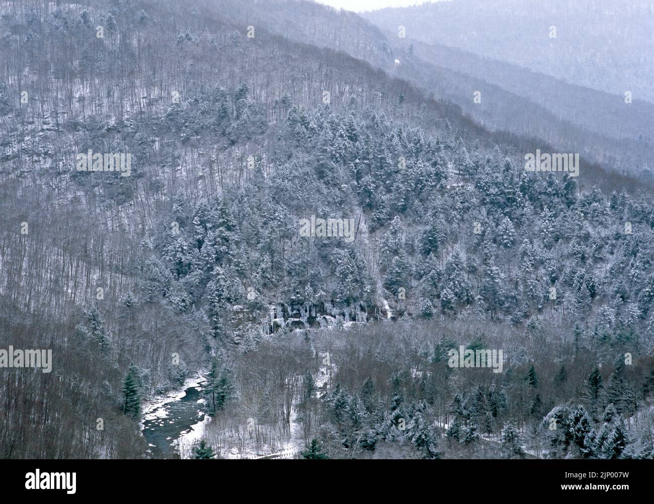 Loyalsock Creek Valley im Winter von High Rock vista im Worlds End State Park, Pennsylvania. Stockfoto