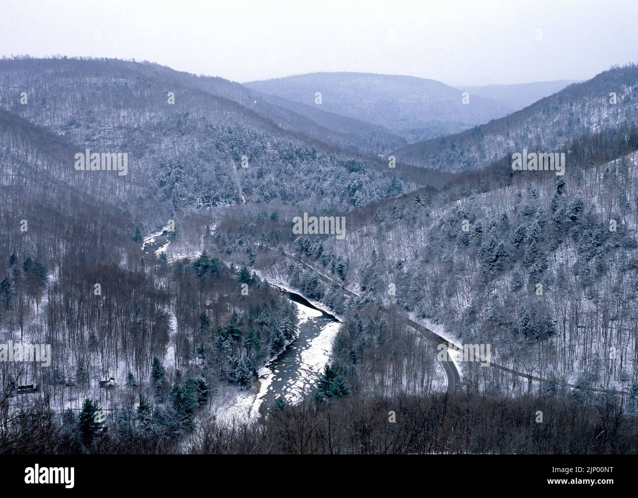 Loyalsock Creek Valley im Winter von High Rock vista im Worlds End State Park, Pennsylvania. Stockfoto