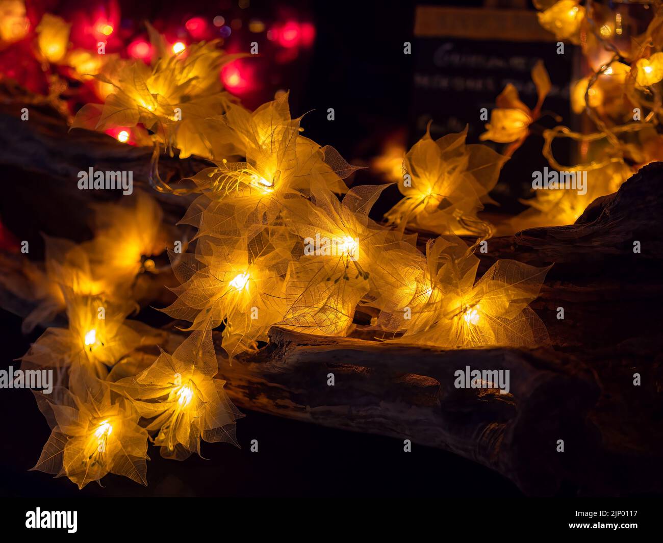 Pflanzen mit integrierter goldgelber Weihnachtsbeleuchtung Stockfoto