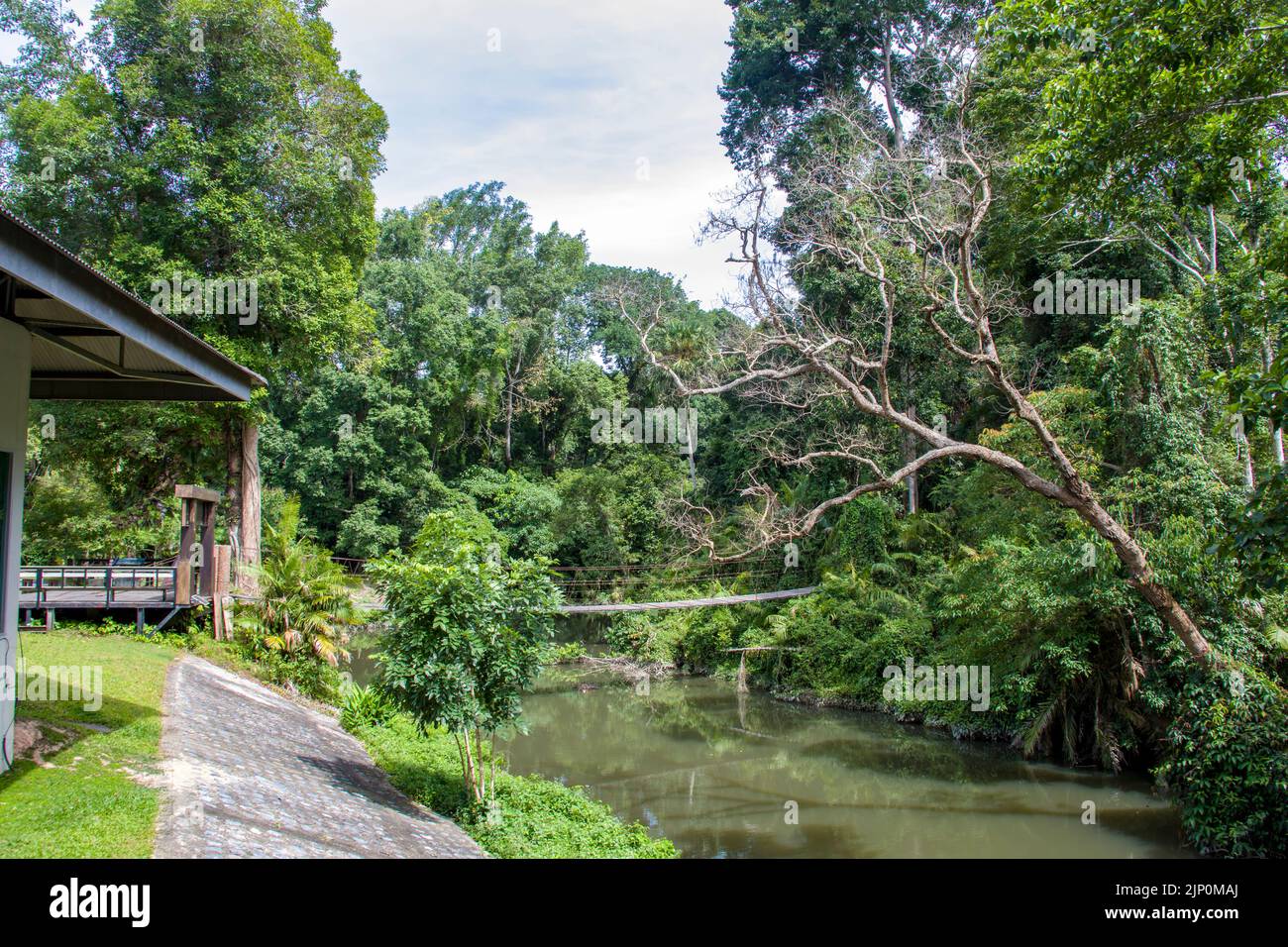 Der Blick auf den Khao Yai Nationalpark, der 1962 als Thailands erster Nationalpark gegründet wurde, ist der drittgrößte Nationalpark Thailands. Stockfoto