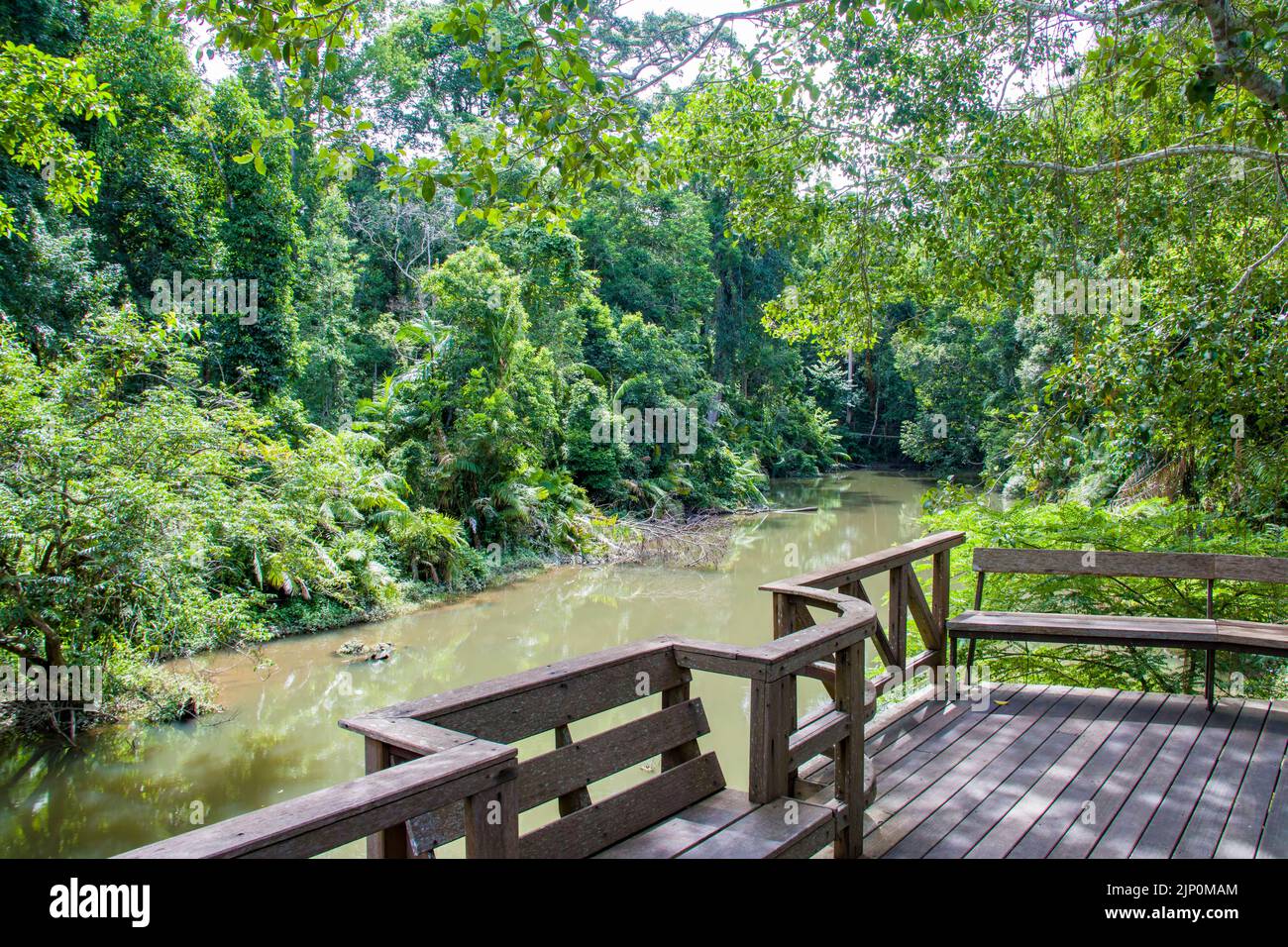 Der Blick auf den Khao Yai Nationalpark, der 1962 als Thailands erster Nationalpark gegründet wurde, ist der drittgrößte Nationalpark Thailands. Stockfoto