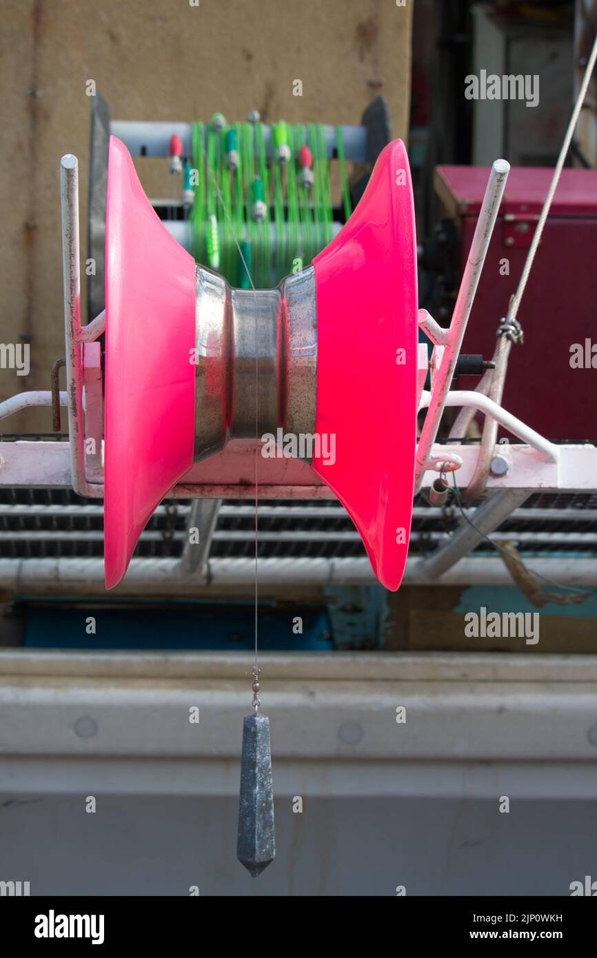 Tintenfisch Maschinenhaken, Linie, Haspel und Platine Stockfoto