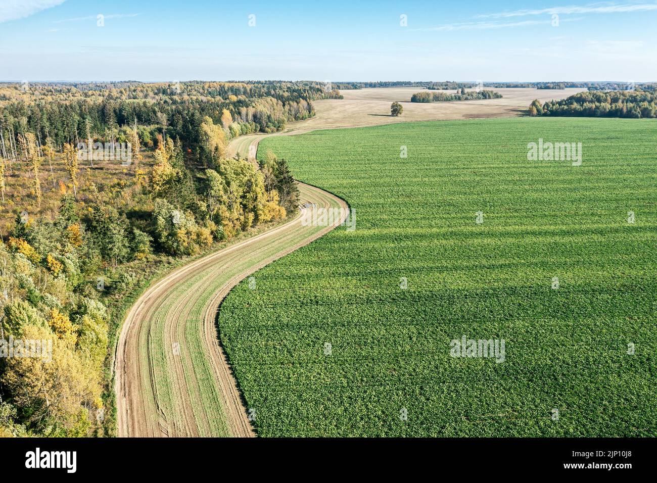 Landschaft mit gewundener Straße zwischen Grünfeld und Wald. Luftaufnahme von oben. Stockfoto