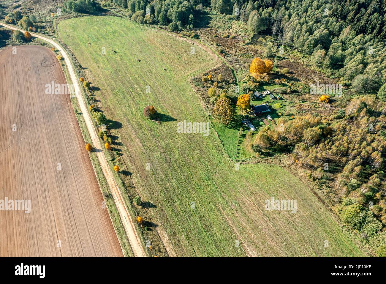 Luftaufnahme der ländlichen Landschaft mit Bauernhaus, Ackerland und Wald in sonnigen Sommertag Stockfoto