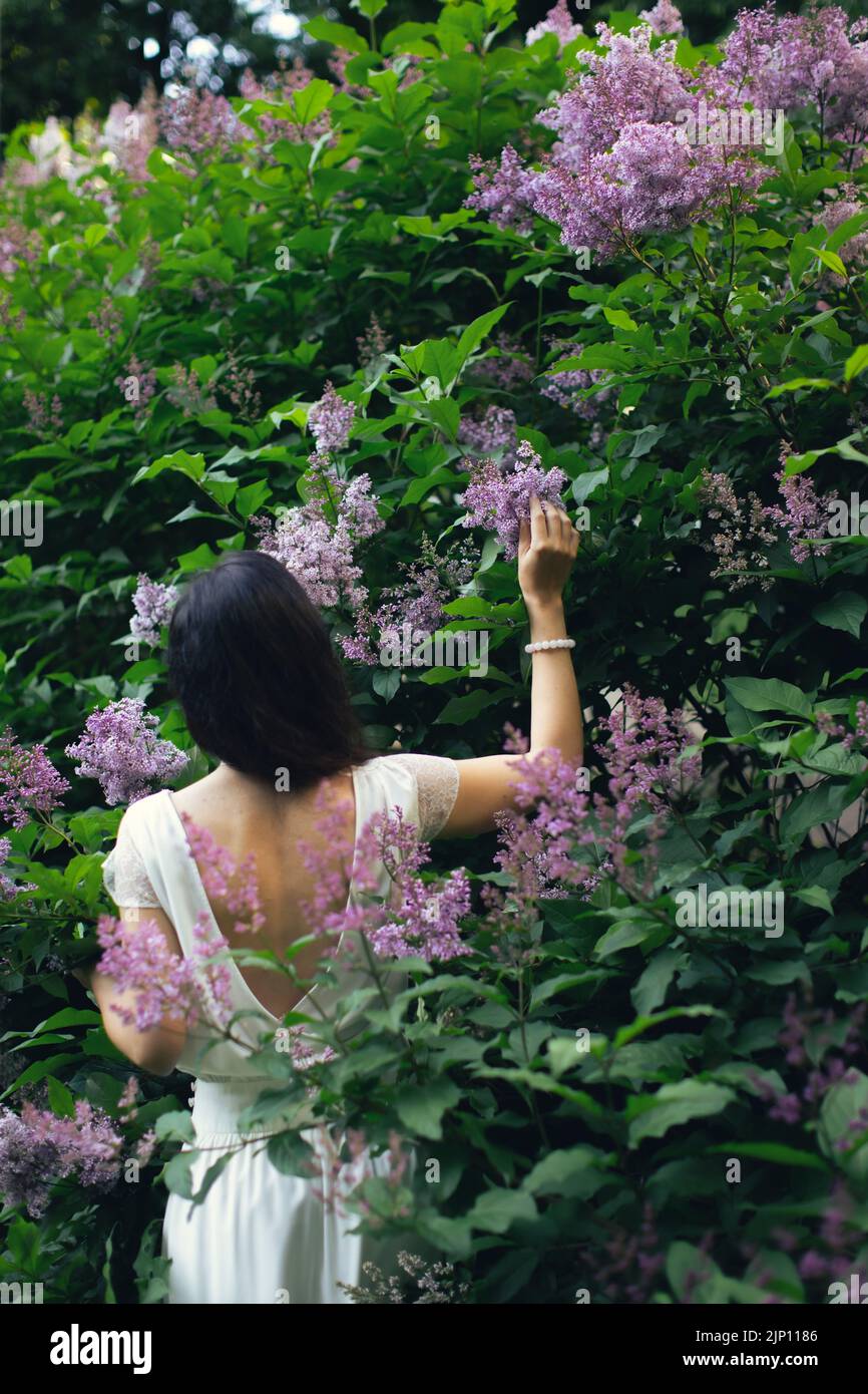 Porträt einer attraktiven Frau, umgeben von Fliederbüschen. Frühling und Sommer, saisonale Fotos. Vertikales Foto. Stockfoto
