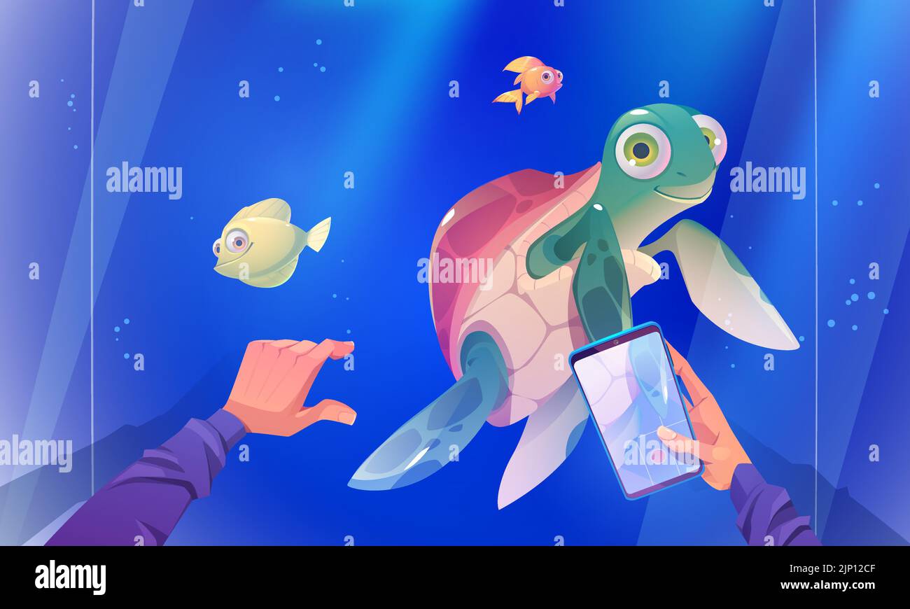 Video mit Charakteraufzeichnung der Schildkröte, die im Aquarium mit Fischen schwimmt. Besucher im Ozeanarium mit Meerestieren, niedliche Schildkröten-Reptilien schwimmen im blauen Wasser hinter einer Glaswand, Cartoon-Vektor-Illustration Stock Vektor