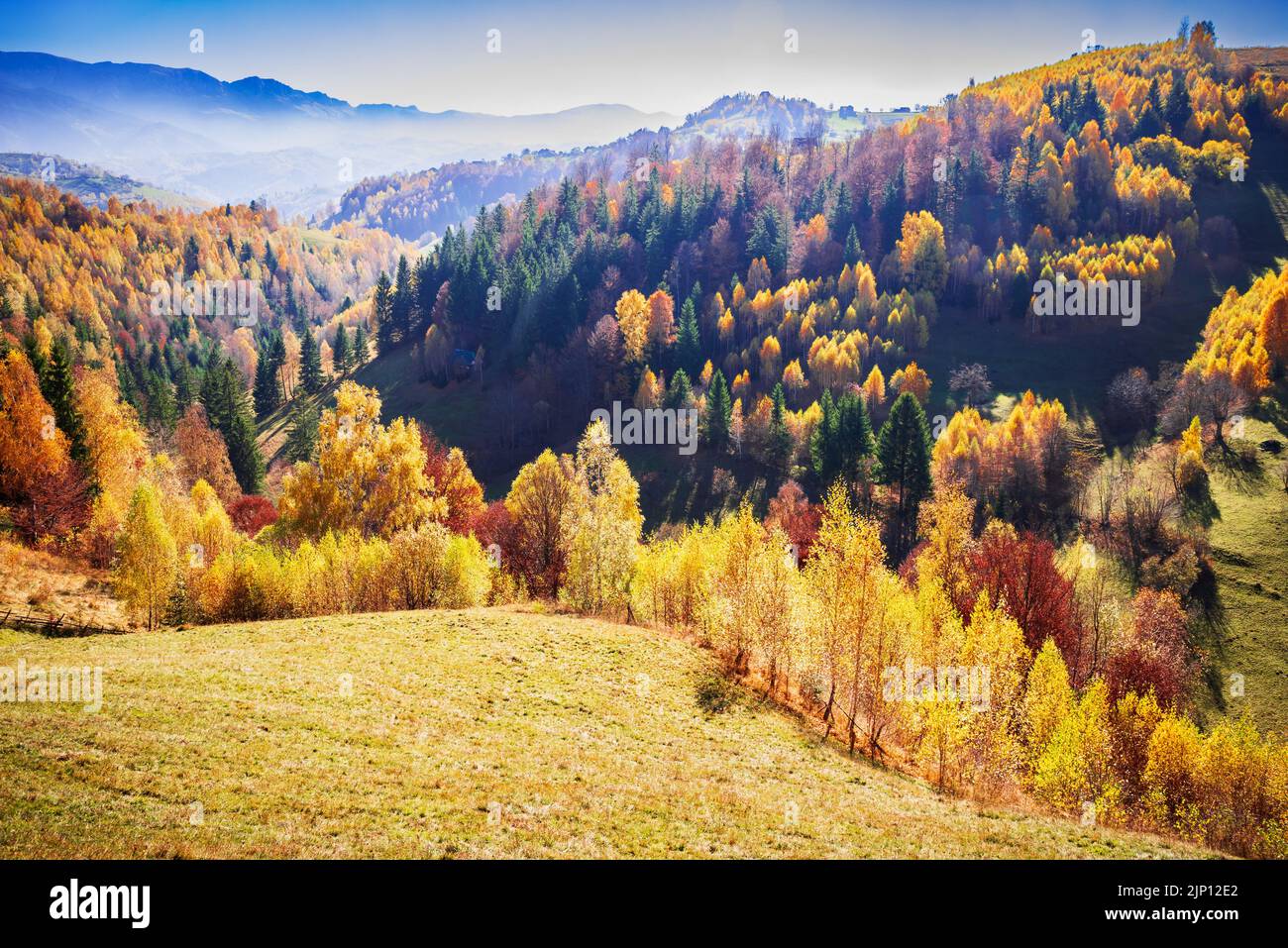 Karpaten. Schöne Herbstfarben malerische Landschaft in Magura, Rucar-Bran touristische Region Rumänien. Stockfoto