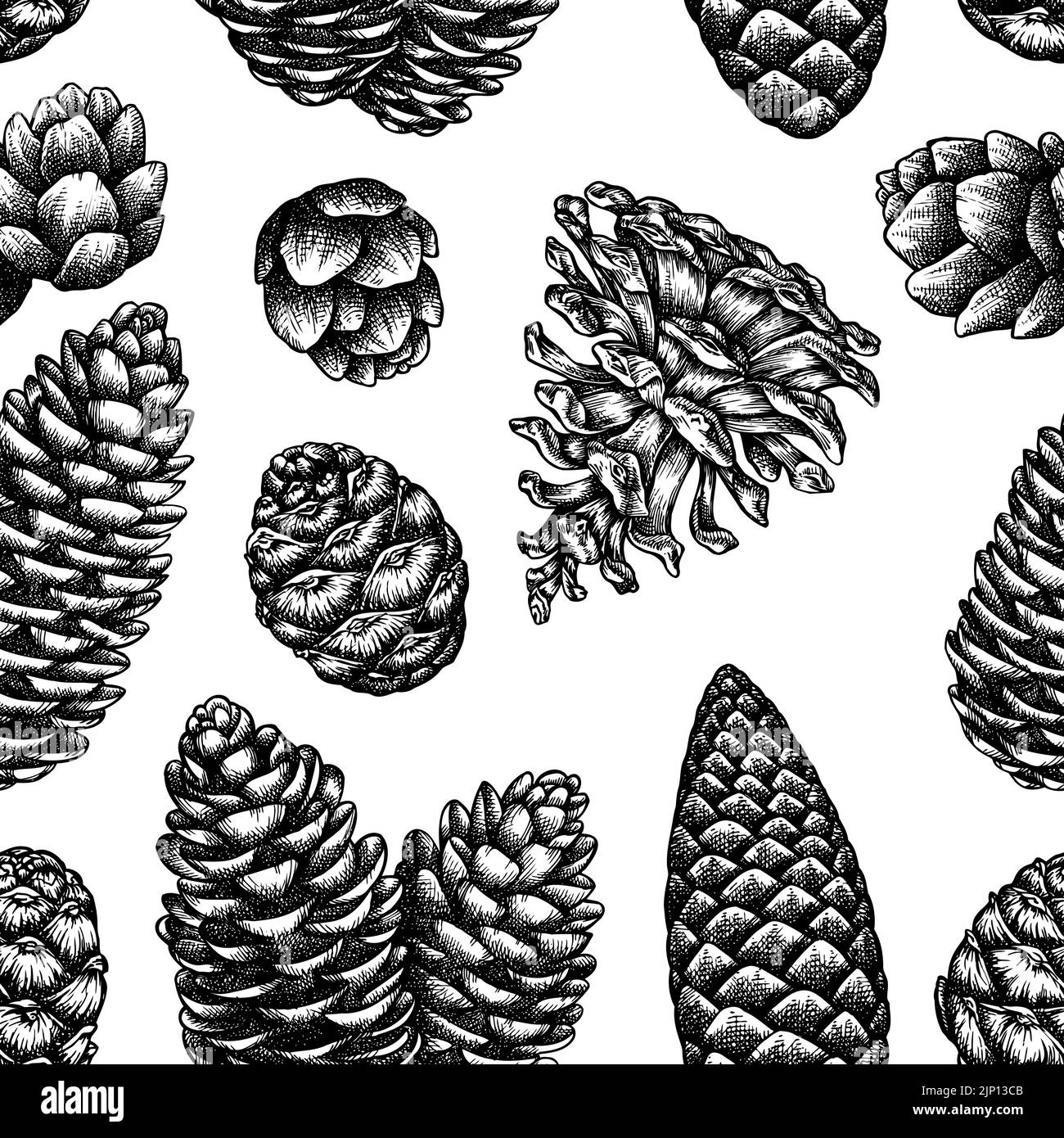 Geheimnisvolle Wald nahtlose Muster Hintergrund-Design. Gravierte Ausführung. Handgezeichnete Pinienzapfen. Stock Vektor