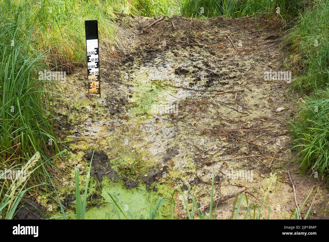 Wasserpegelanzeige, die einen niedrigen Pegel in einem Waldbach anzeigt. Stockfoto