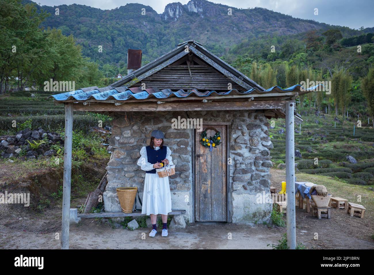 Asiatische Frau arbeiten und reisen in Zitronenfarm mit Bauernmode und Accessoires Stockfoto