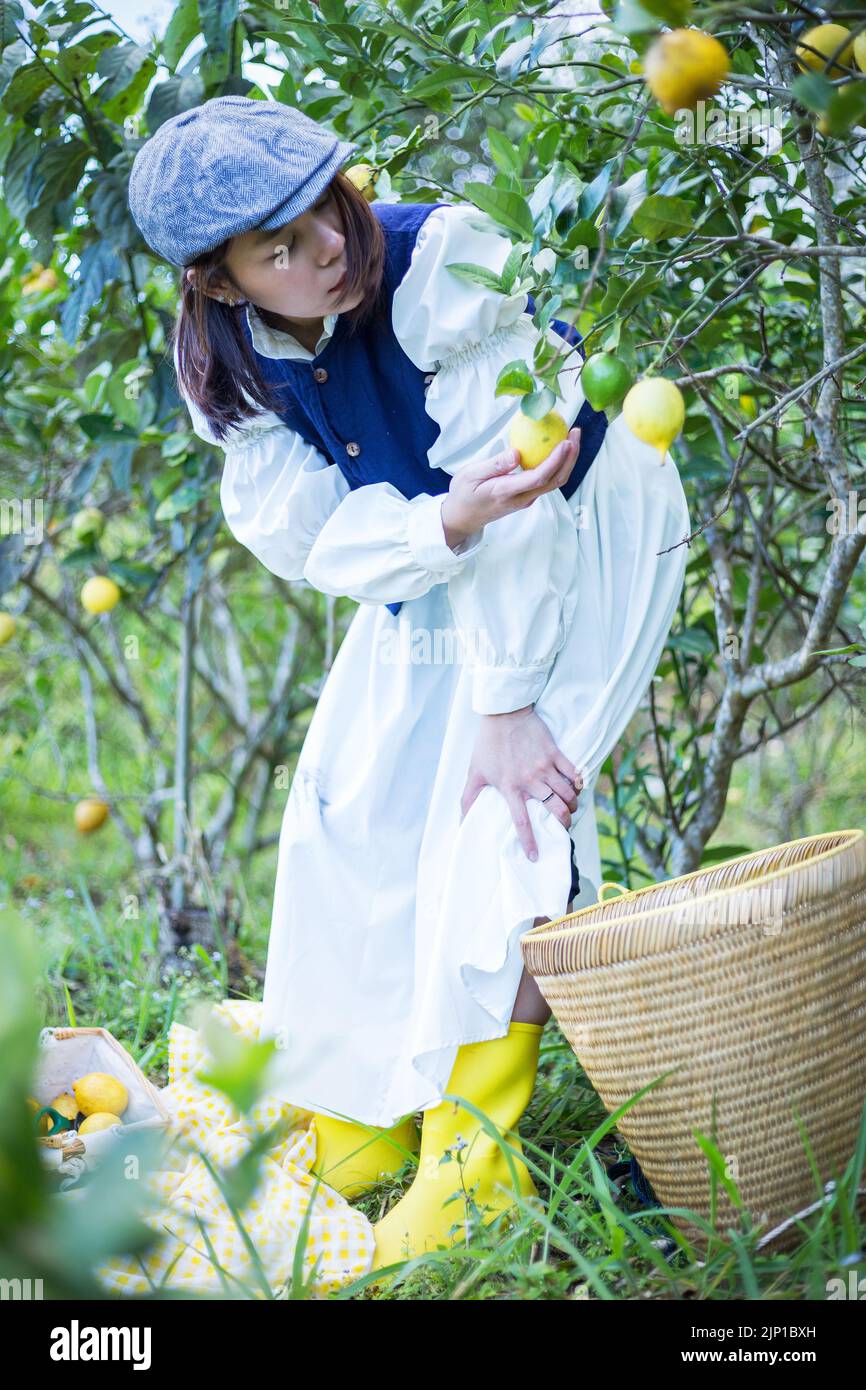 Asiatische Frau arbeiten und reisen in Zitronenfarm mit Bauernmode und Accessoires Stockfoto