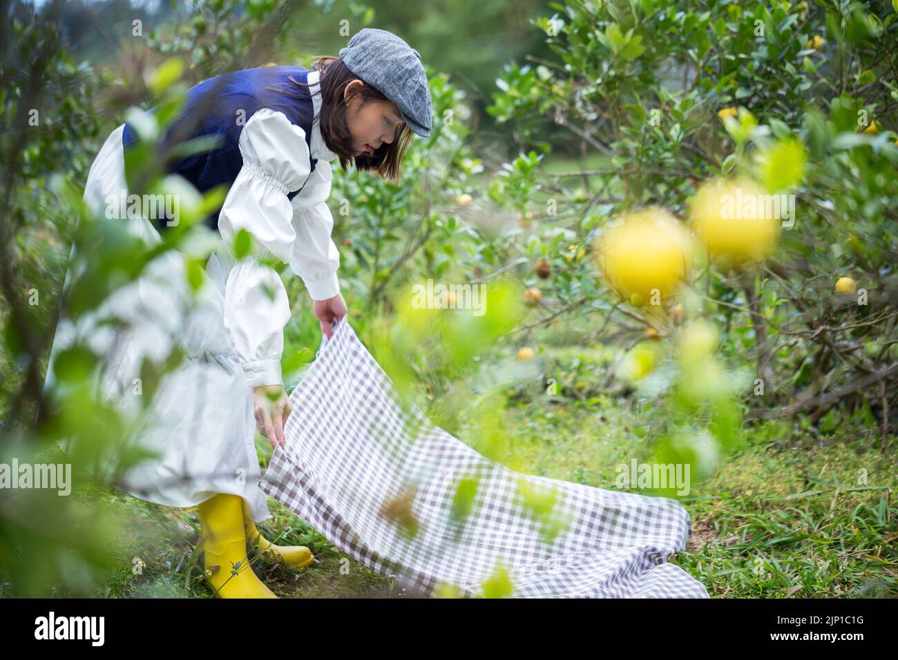 Asiatische Frau arbeiten und reisen in Zitronenfarm mit Bauernmode und Accessoires Stockfoto