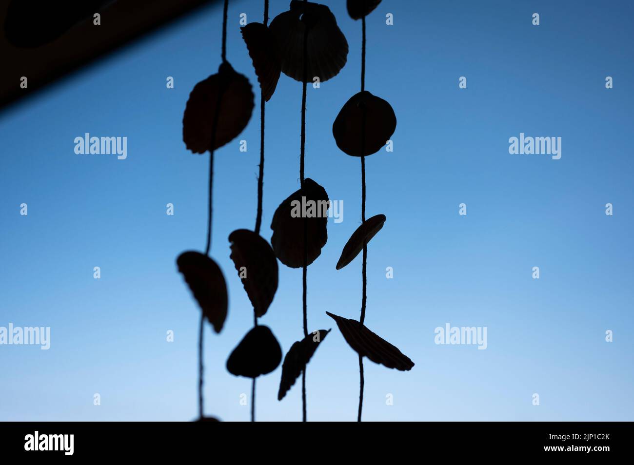 Silhouette eines Traumfängers aus Muscheln Stockfoto