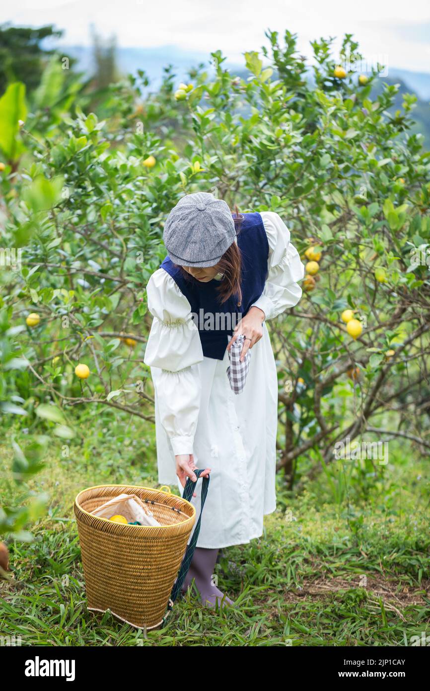 Asiatische Frau arbeiten und reisen in Zitronenfarm mit Bauernmode und Accessoires Stockfoto