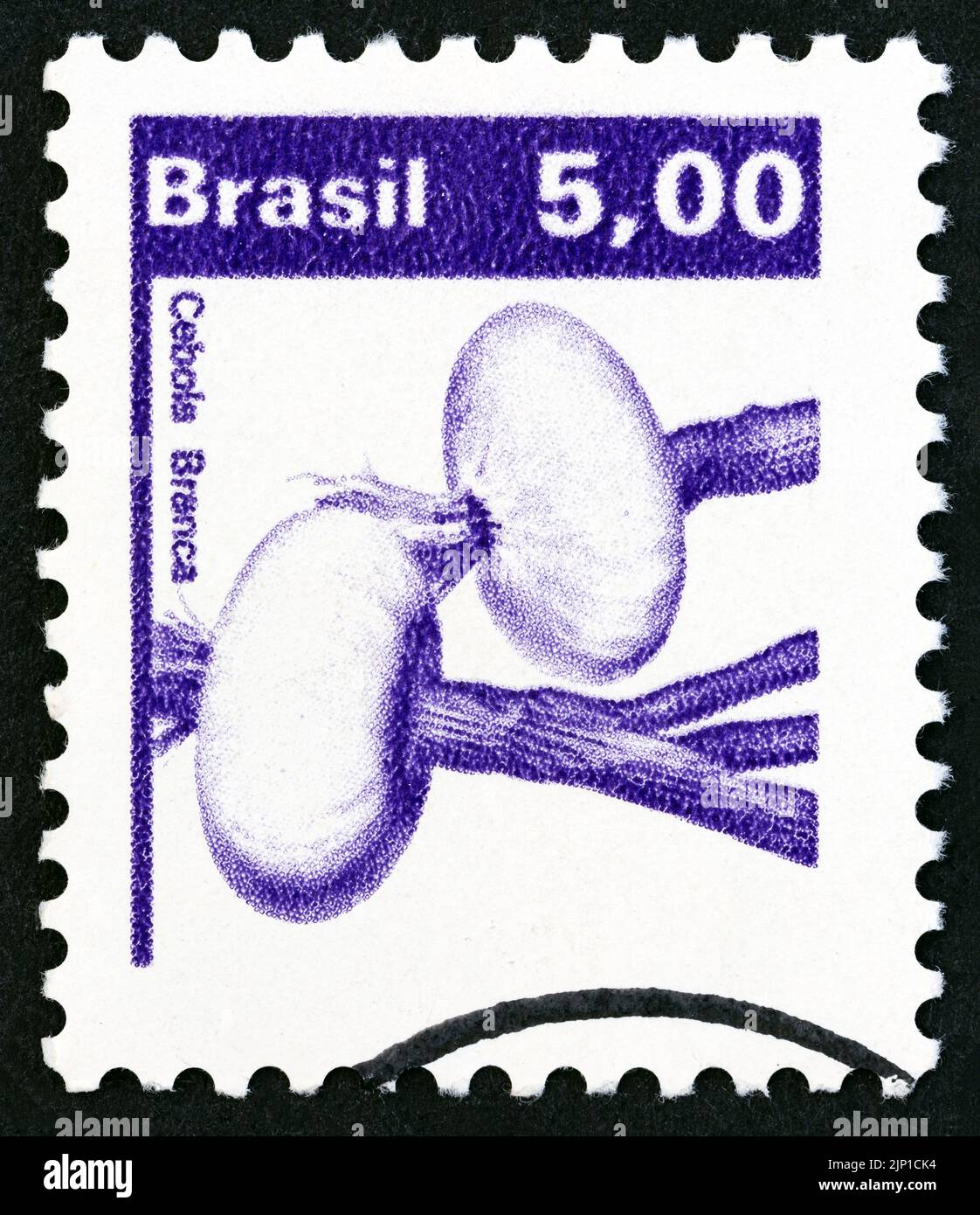 BRASILIEN - UM 1982: Eine in Brasilien gedruckte Marke aus der Ausgabe 'Landwirtschaftliche Produkte' zeigt Zwiebeln (Allium sp.), um 1982. Stockfoto