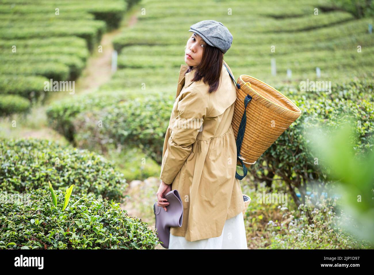 Asiatische Frau arbeiten und reisen in Zitronenfarm mit Bauernmode und Accessoires Stockfoto