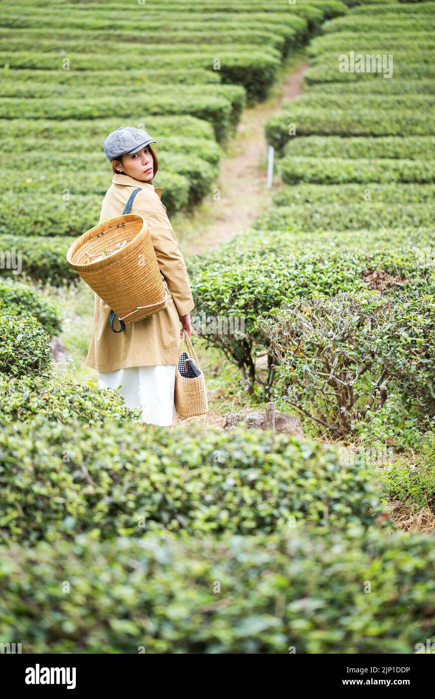 Asiatische Frau arbeiten und reisen in Zitronenfarm mit Bauernmode und Accessoires Stockfoto