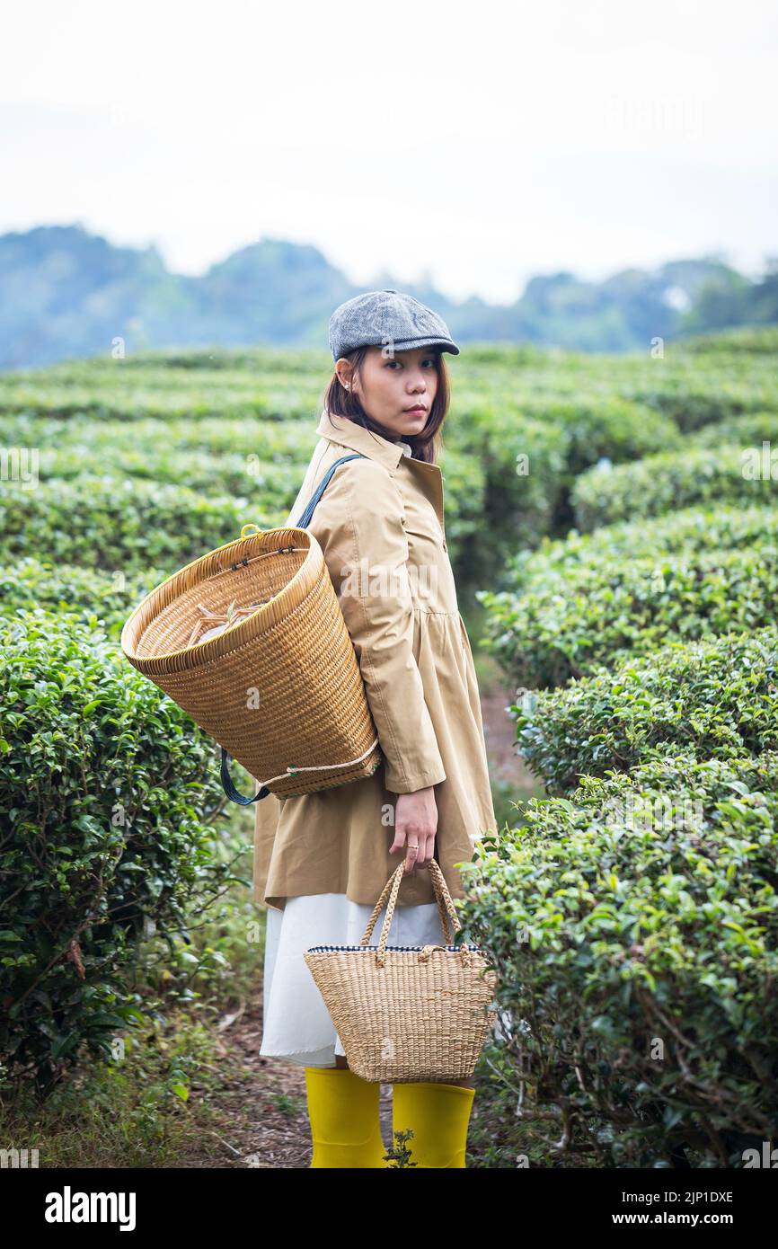 Asiatische Frau arbeiten und reisen in Zitronenfarm mit Bauernmode und Accessoires Stockfoto