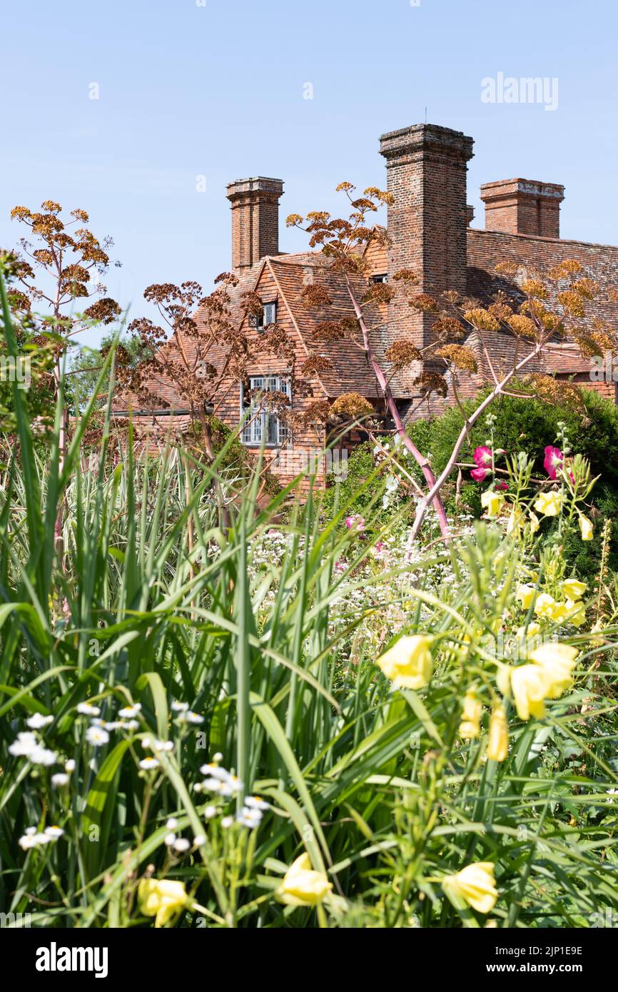 Großes Dixter Haus und Gärten, Northiam, Rye, East Sussex, Giant Fenchel (Ferula Communis) Saatköpfe Stockfoto