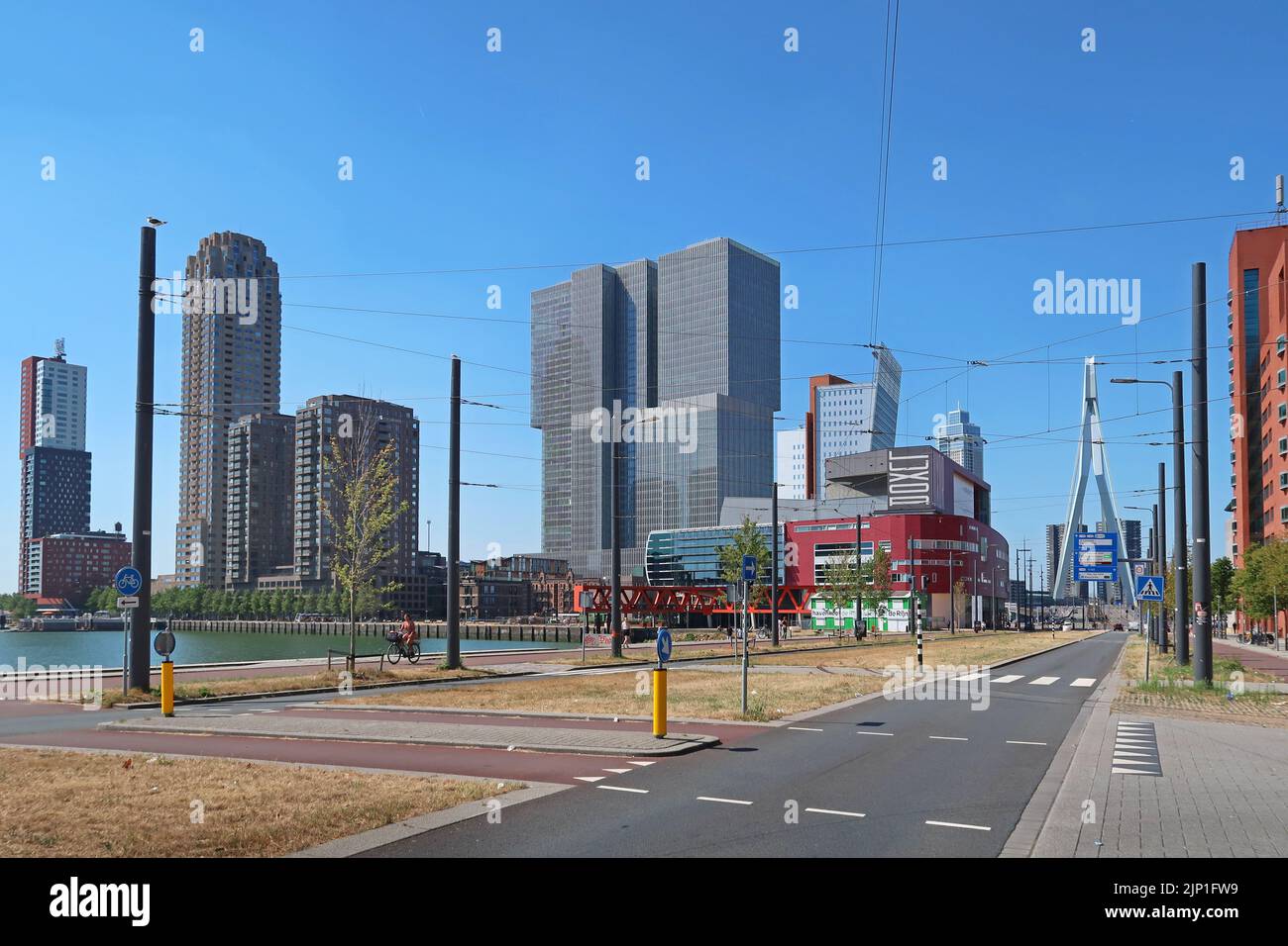 Rotterdam, Niederlande. Blick entlang Posthumalaan zur Erasmus-Brücke, die links die neuen Gebäude auf der Wilhelminapier zeigt, darunter De Rotterdam Stockfoto