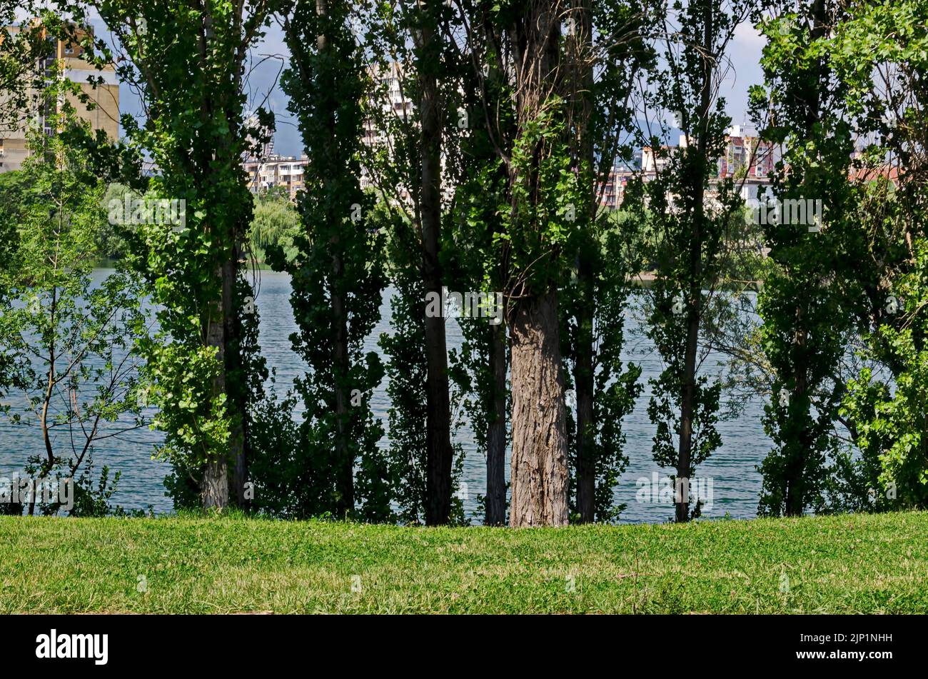 Frühling Grün auf eine frische Bäume und See in Wohnviertel Drujba, Sofia, Bulgarien Stockfoto