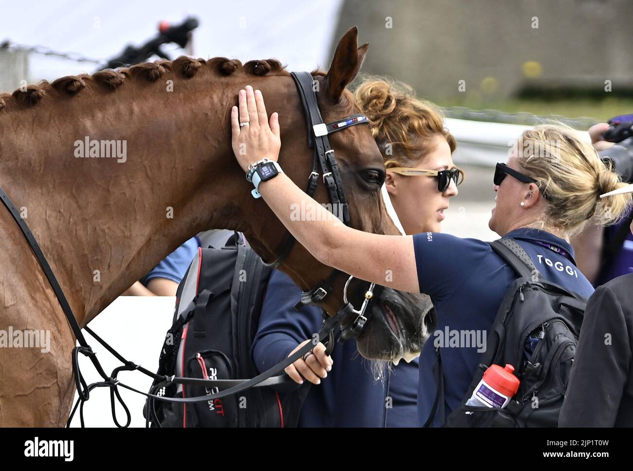 Herning, Dänemark. 14. August 2022. Weltreiterspiele. SAKURA (geritten von Georgia Wilson) bekommt am Ende des Tests während der FEI World para Dressage Individual Championship viel Aufmerksamkeit. Kredit: Sport In Bildern/Alamy Live Nachrichten Stockfoto