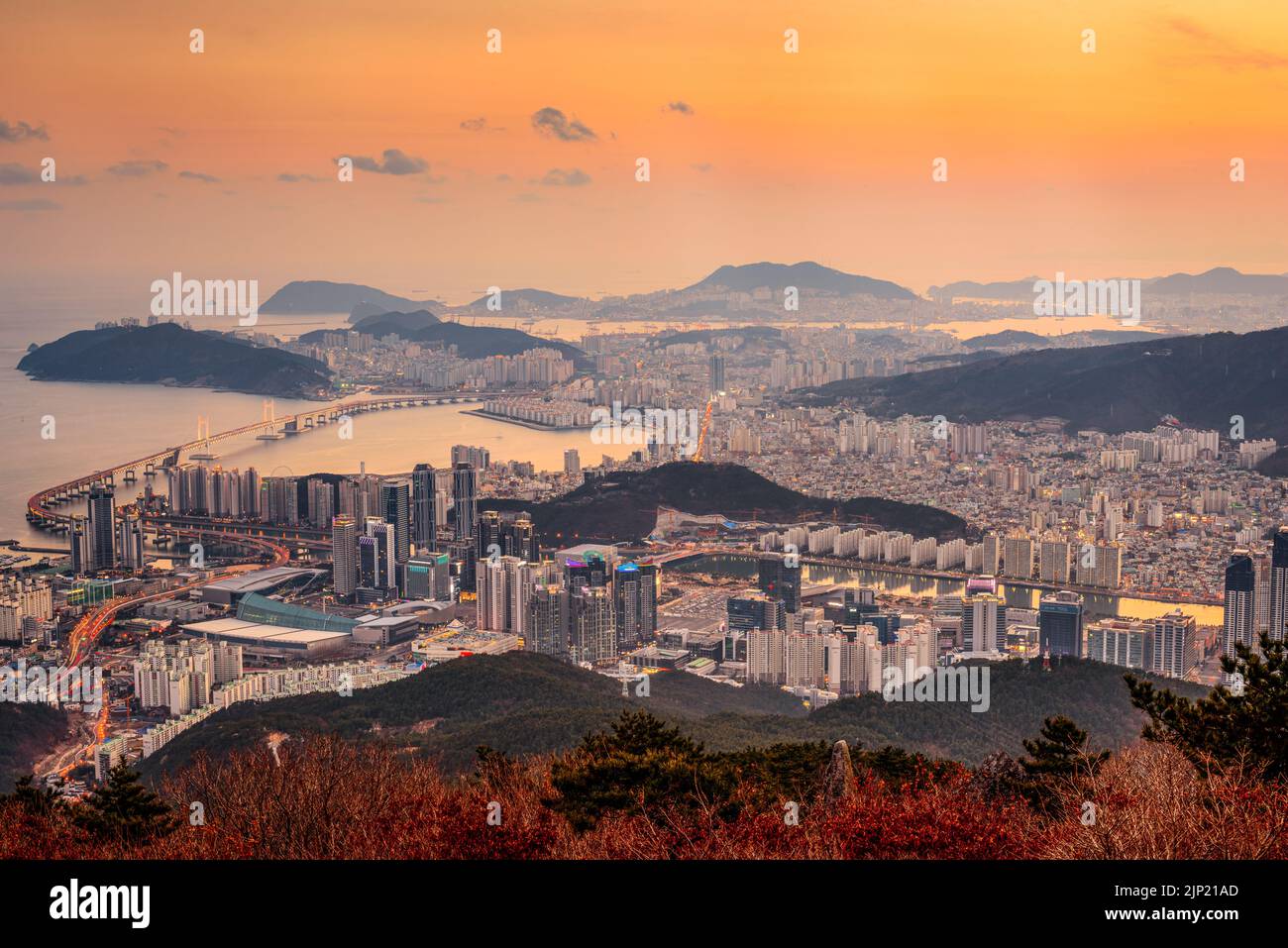 Skyline von Busan, Südkorea von oben in der Abenddämmerung. Stockfoto