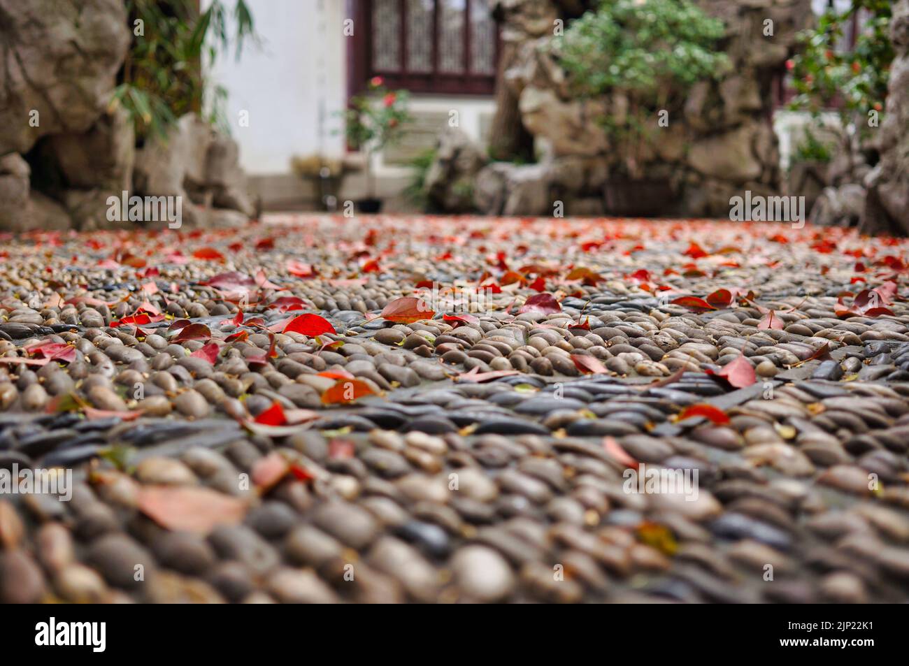 Herbstblätter auf einem Kopfsteinpflaster-Pfad in einem chinesischen Garten Stockfoto
