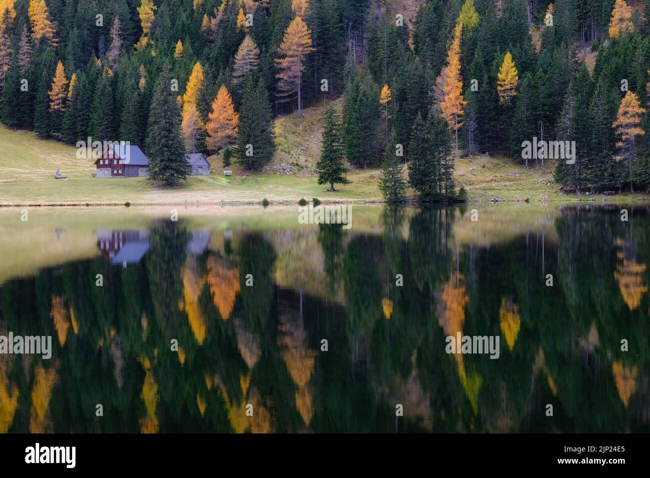 Verträumte Herbstlandschaft mit einem kleinen Häuschen spiegelt sich in einem Alpensee in der Steiermark, Österreich Stockfoto
