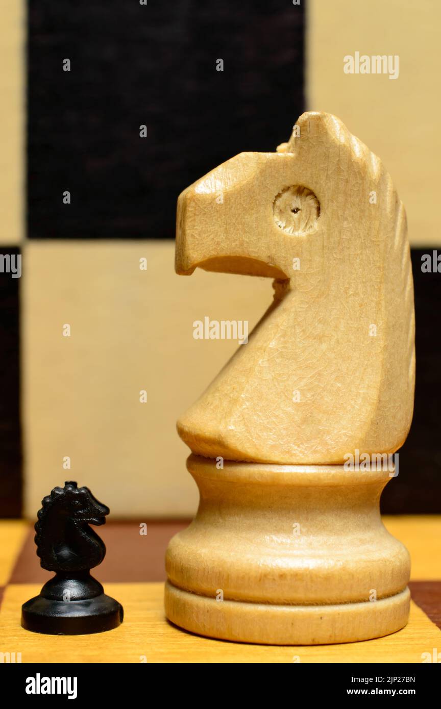 Großer weißer Ritter und kleines schwarzes Pferd. Konzept von Leidenschaft, Führung, Verteidigung, Wettbewerb, Einfluss. Schachbrett aus Holz. Armee von einem. Stockfoto