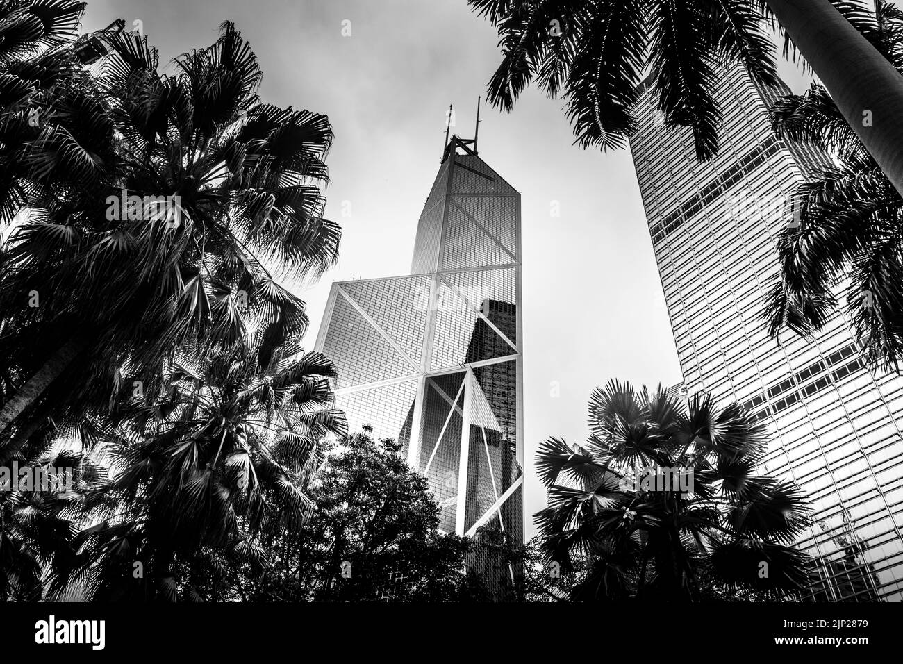 Zentraler Wolkenkratzer in Hongkong, eingerahmt von Bäumen in einem Park. Stockfoto