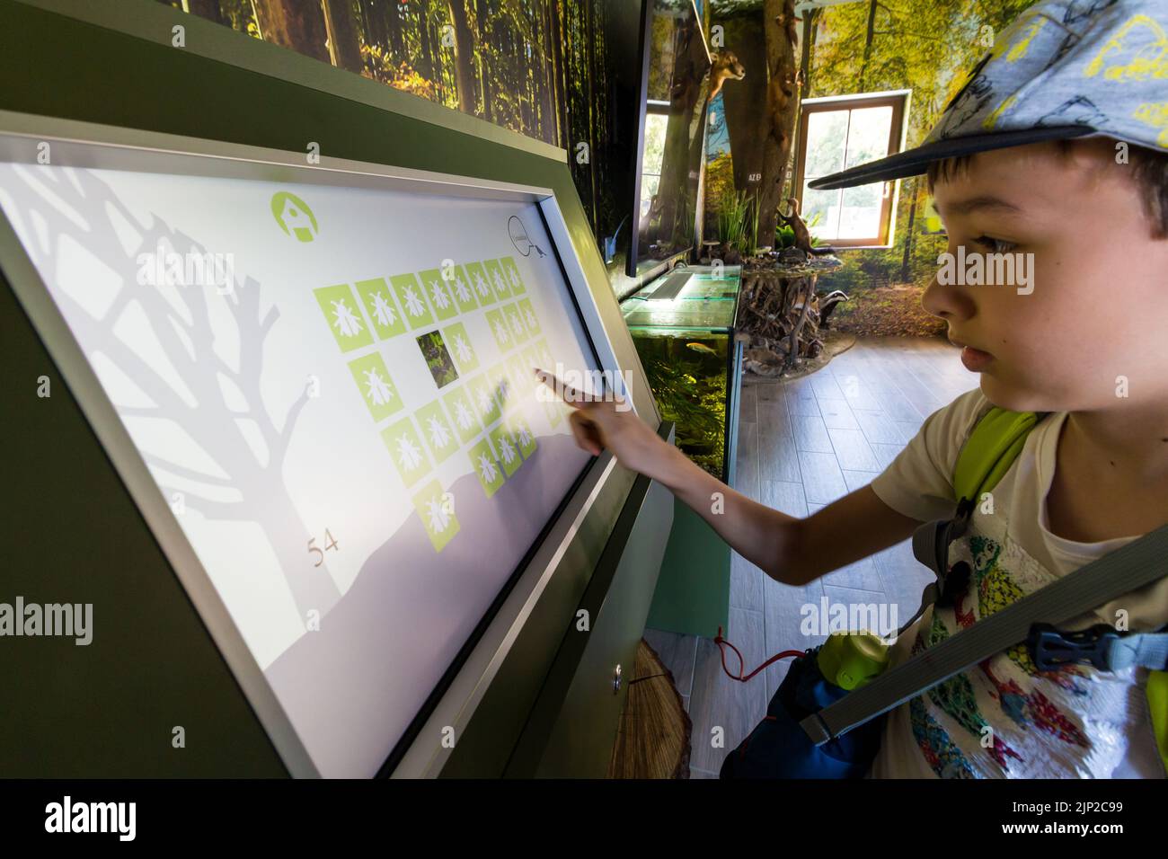 Kinder spielen Gedächtnisspiel in der interaktiven Lernhalle, ERDO HAZA Ecoturistic Visitor Centre und Wildlife Park, Muck, Sopron, Ungarn Stockfoto