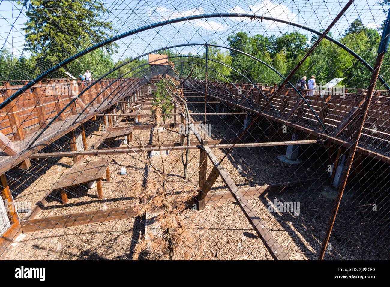 Vogelkäfig in ERDO HAZA Okoturisztikai Latogatokozpont es Vadaspark (Ökoturistisches Besucherzentrum und Wildpark), Muck, Sopron, Ungarn Stockfoto