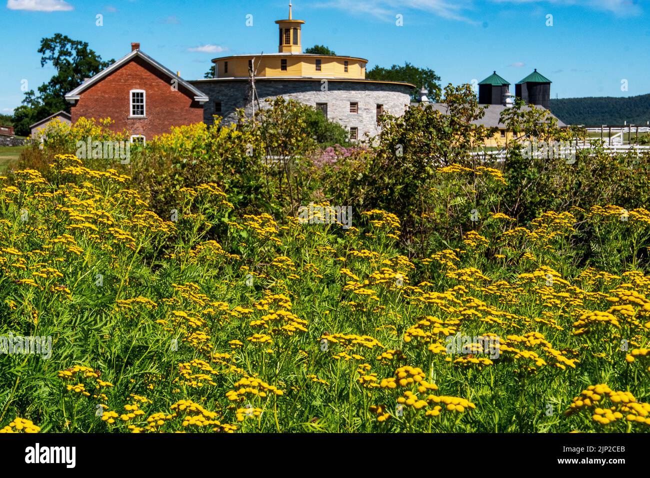 Die ikonische runde Steinscheune im Hancock Shaker Village Stockfoto