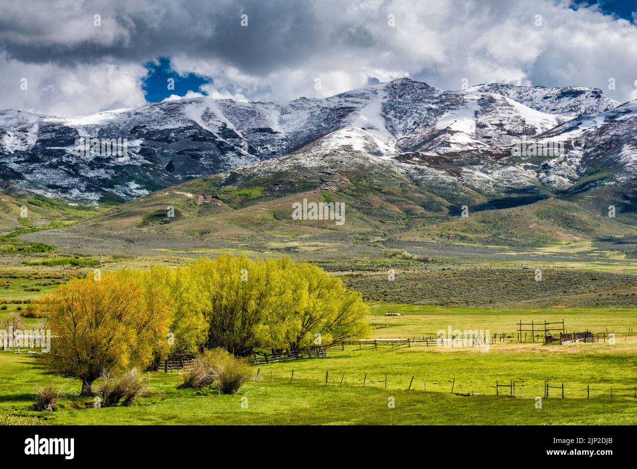 Humboldt Peak Massiv, East Humboldt Range, über Secret Valley, nach Schneesturm im späten Frühjahr, Blick vom Secret Pass, nahe NV229 Highway, Nevada, USA Stockfoto