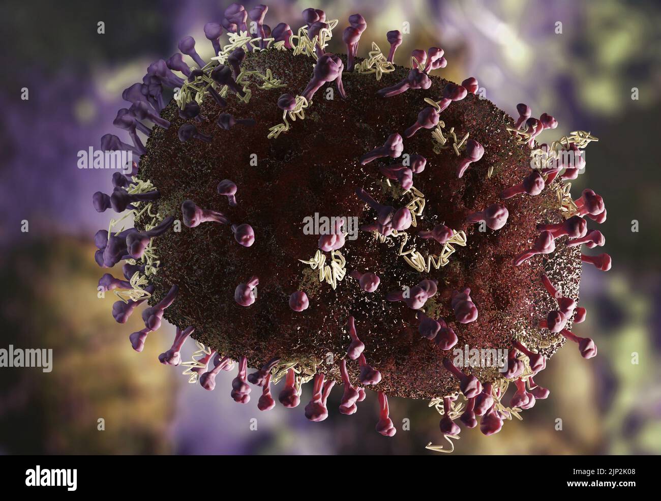 Neues Langya-Henipavirus aus China in mikroskopischen Details, die die Pathogenstruktur und infizierte Zellen zeigen, künstlerische Rekonstruktion. Stockfoto