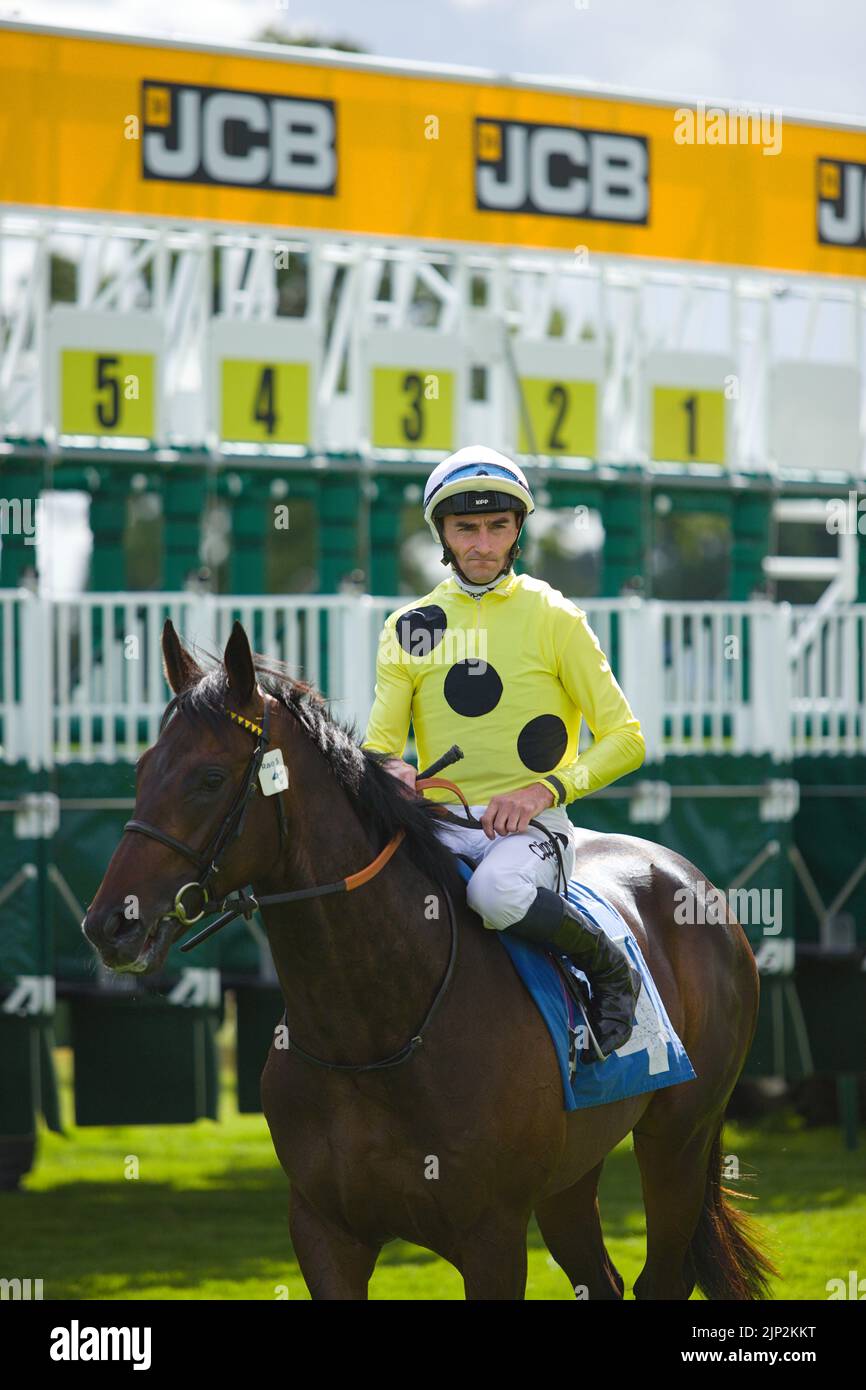 Jockey Daniel Tudhope am Eagle Day. Stockfoto