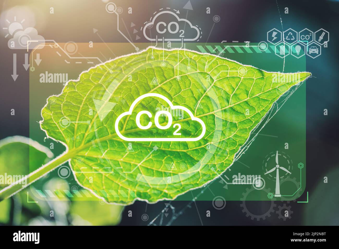 Green Leaf Overlay Photosynthese CO2 Pflanze Natur Eco-System oder Sauerstoff-Zyklus Prozess im Sonnenlicht. Stockfoto