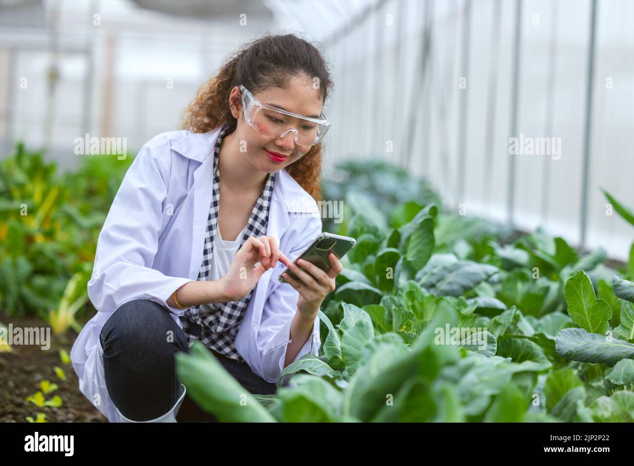 Wissenschaftler Frau Forscher Mitarbeiter sammeln Studie Pflanzeninformationen in der Landwirtschaft Bauernhof. Agrarwissenschaftliches Konzept. Stockfoto