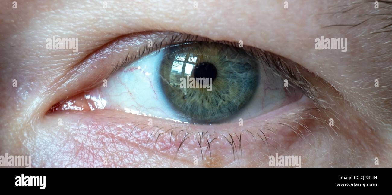 Eine Makroaufnahme eines blauen Auges einer Person mit gelber Farbe in der Mitte Stockfoto