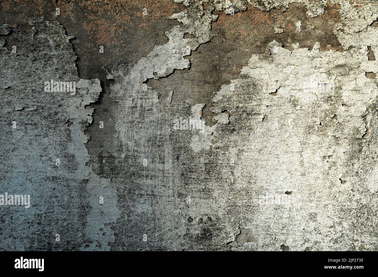 Gips, verwittert, schuppend, Beton, Putze, Weide, Beton Stockfoto