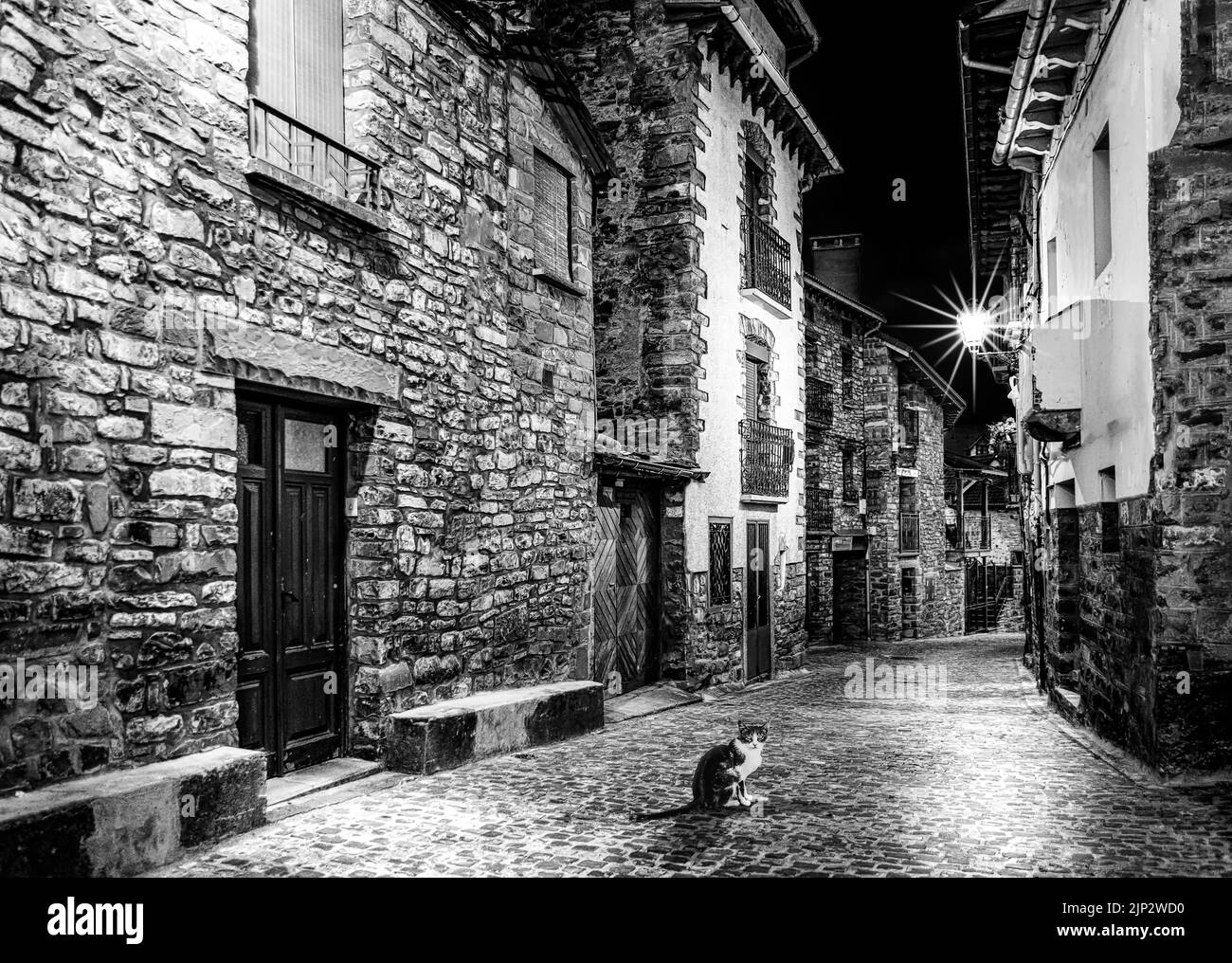 Katze in der Nacht, die Kamera anschaut, in der Straße der Steinhäuser, Bergdorf. Mittelalterliche Architektur. Schwarz und Weiß. Stockfoto